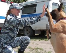 Задачи и специфика работы кинолога