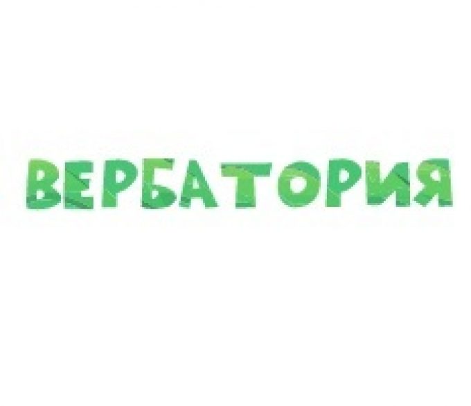 Центр профориентации «Вербатория»